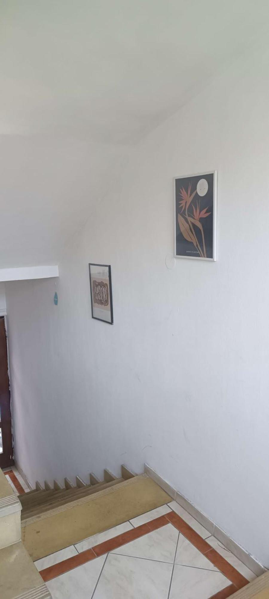 Sunshine Hostel 免费洗衣机 高速上网 Beograd Bagian luar foto